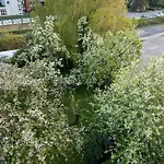 Strandlaeufer Apartment *