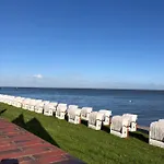Strandlaeufer * Wilhelmshaven