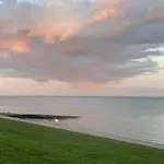 Strandlaeufer