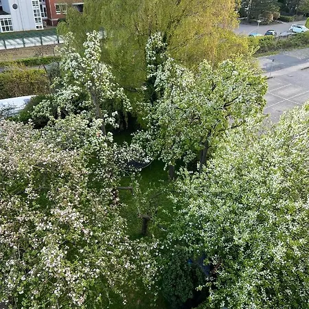 Strandlaeufer Appartamento *