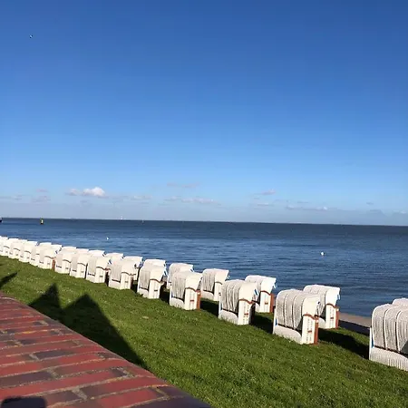 Strandlaeufer * Wilhelmshaven
